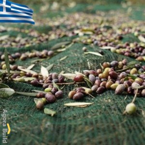 ΕΙΔΗ ΕΛΑΙΟΣΥΛΛΟΓΗΣ