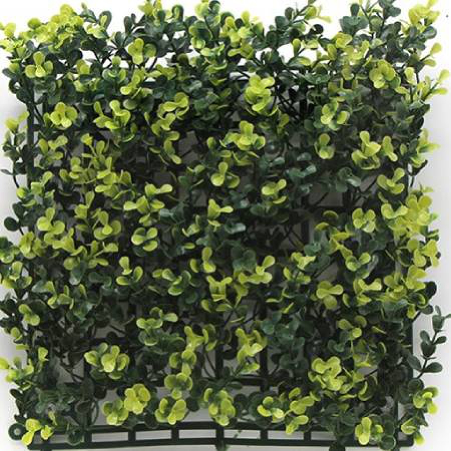 ΠΑΝΕΛ ΦΥΛΛΩΣΙΑΣ BERLIN 50 Χ 50 A003 BUXUS