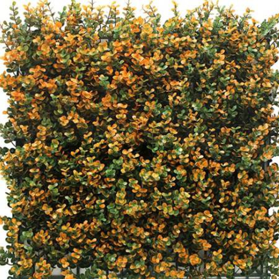 ΠΑΝΕΛ ΦΥΛΛΩΣΙΑΣ BERLIN 50 Χ 50 A012 BUXUS