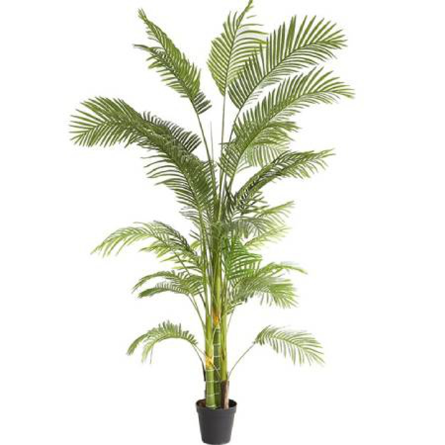 Τεχνητό δέντρο Palm Tree NP 5500 Ύψος 240