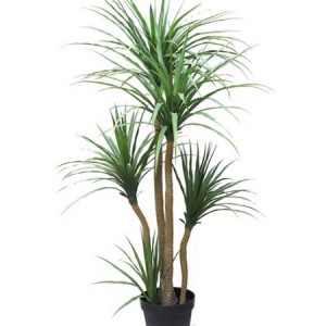 Τεχνητό δέντρο DRACAENA NP28 ΥΨΟΣ 155cm