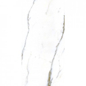 QUARRY FULLY POLISED 600 X 1200