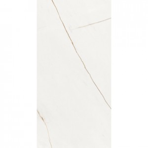 LINE FULLY POLISHED 600 X 1200