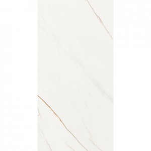 LINE FULLY POLISHED 600 X 1200