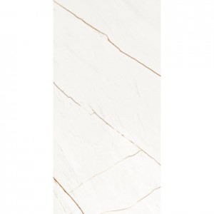 LINE FULLY POLISHED 600 X 1200