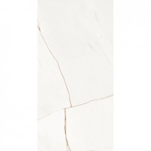 LINE FULLY POLISHED 600 X 1200