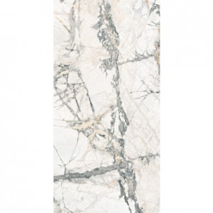 ARABESQUE FULLY POLISHED 600 X 1200