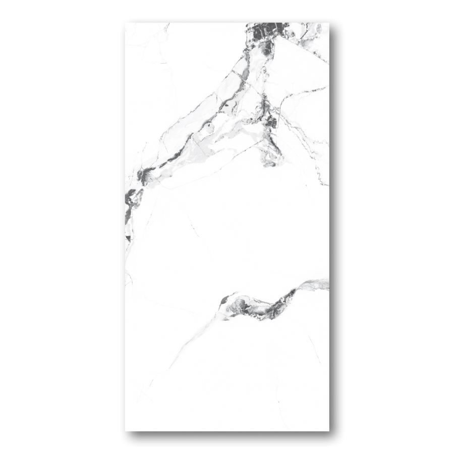 MEXISE STATUARIO 600 X 1200