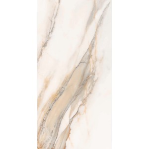 EXCELSIS FULLY POLISHED 600 X 1200