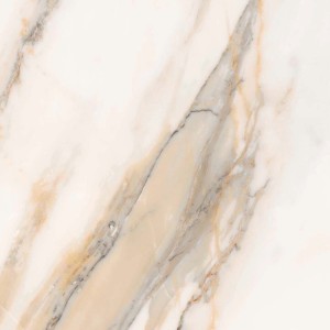 EXCELSIS FULLY POLISHED 600 X 1200