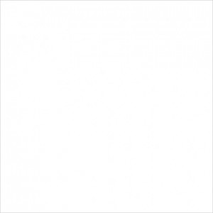 UMBRIA WHITE 330 X 330