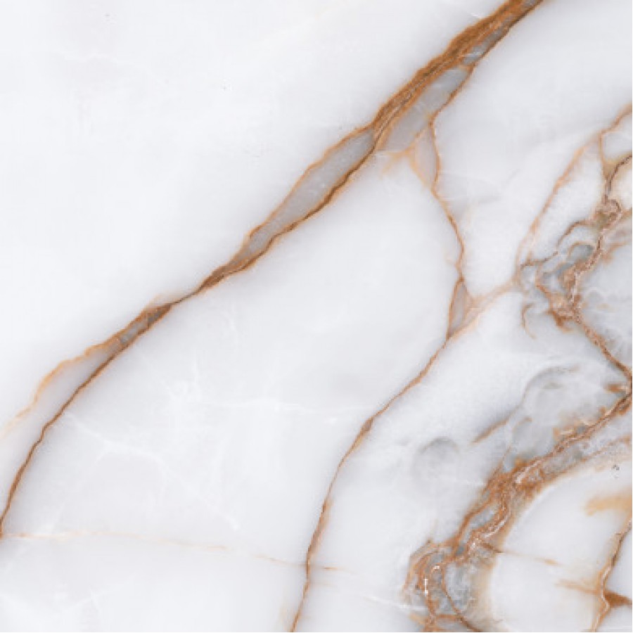 GOLDIE WHITE 450 X 450