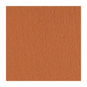 Πλακίδια Cotto Rustic 25x25