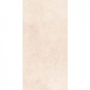 EVOQUE NATURAL 300 X 600 RECTIFIED