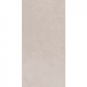EVOQUE LIGHT GREY 300 X 600 RECTIFIED