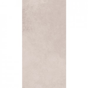 EVOQUE LIGHT GREY 300 X 600 RECTIFIED