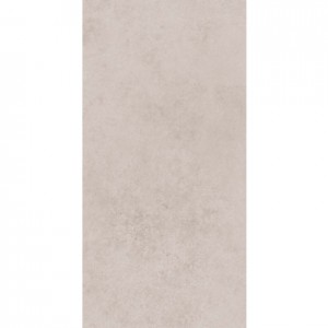 EVOQUE LIGHT GREY 300 X 600 RECTIFIED