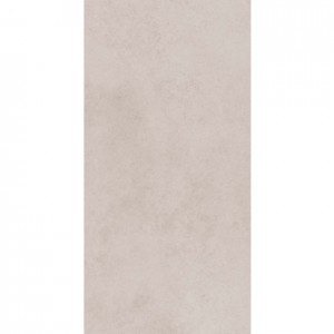 EVOQUE LIGHT GREY 300 X 600 RECTIFIED