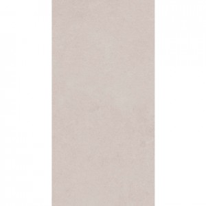 EVOQUE LIGHT GREY 300 X 600 RECTIFIED