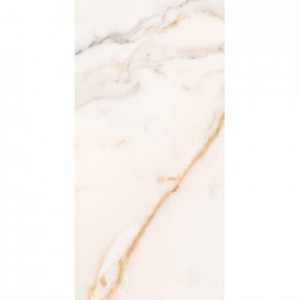 EXCELSIS FULLY POLISHED 600 X 1200