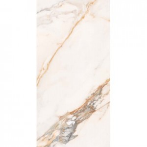 EXCELSIS FULLY POLISHED 600 X 1200