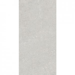 STONEHENGE GREY 600 X 1200