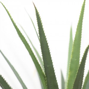 AGAVE TREE NP802_160 ΥΨΟΣ 160cm