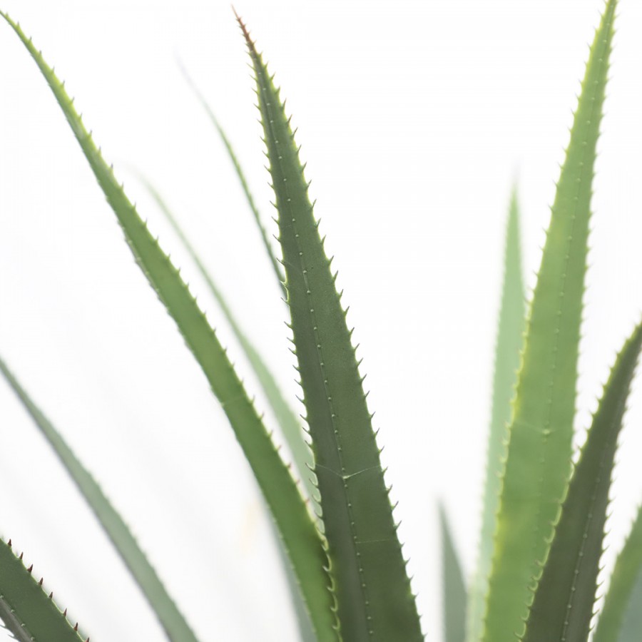 AGAVE TREE NP802_160 ΥΨΟΣ 160cm