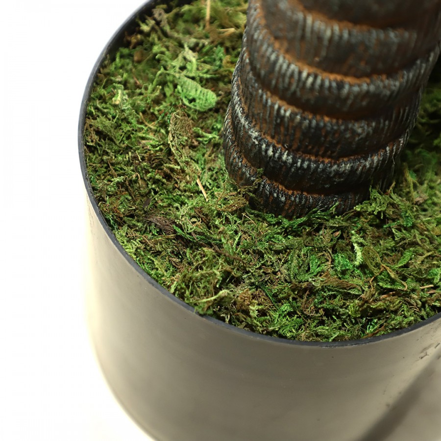 AGAVE TREE NP802_160 ΥΨΟΣ 160cm