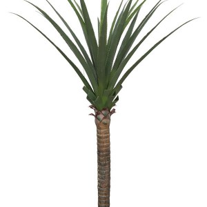 AGAVE TREE NP802_160 ΥΨΟΣ 160cm
