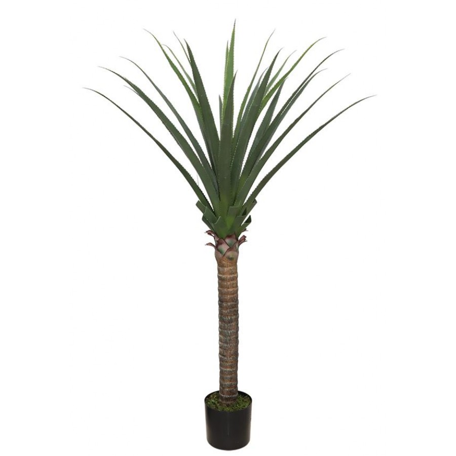AGAVE TREE NP802_160 ΥΨΟΣ 160cm