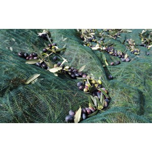 ΕΛΑΙΟΔΙΧΤΟ 8 Χ 12