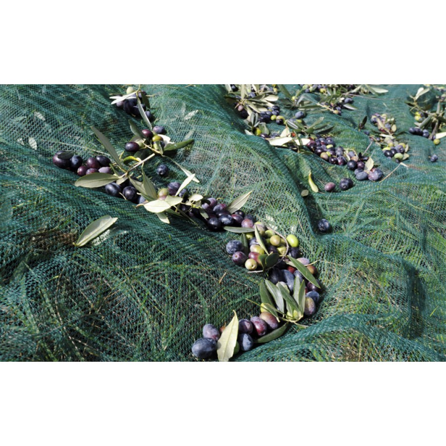 ΕΛΑΙΟΔΙΧΤΟ 8 Χ 12