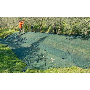 ΕΛΑΙΟΔΙΧΤΟ 8 Χ 12