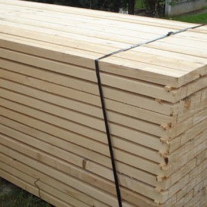 ΣΑΝΙΔΙ ΜΠΕΤΟΥ