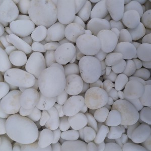 ΒΟΤΣΑΛΟ ΛΕΥΚΟ ΜΙΧ