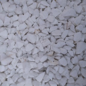 ΨΗΦΙΔΑ ΛΕΥΚΗ