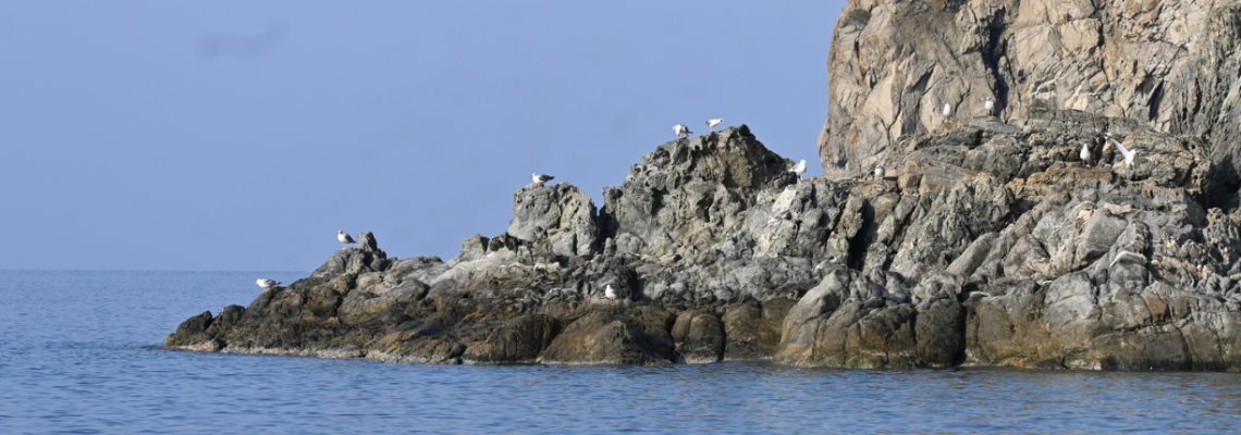 Project Άγιο Όρος