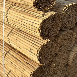 ΚΑΛΑΜΩΤΗ ΑΠΟ ΜΙΣΟ ΚΑΛΑΜΙ