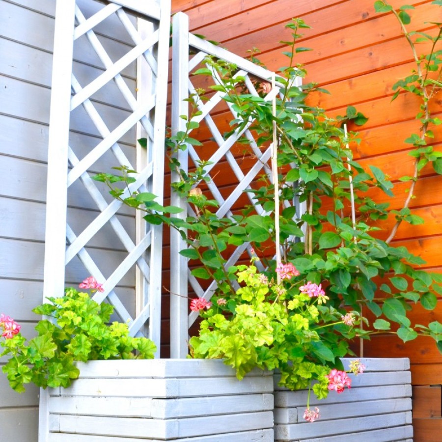 ΚΑΦΑΣΩΤΟ ΓΛΑΣΤΡΑΣ 70CM