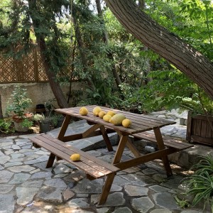 ΞΥΛΙΝΟ ΤΡΑΠΕΖΙ - ΠΑΓΚΟΣ ΠΙΚ ΝΙΚ 150ΕΚ.