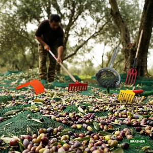 ΕΙΔΗ ΕΛΑΙΟΣΥΛΛΟΓΗΣ