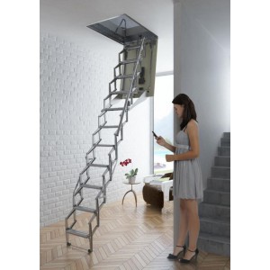 Σκάλα οροφής ηλεκτρονική