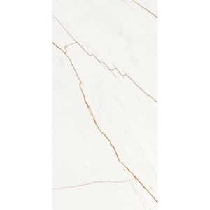 LINE FULLY POLISHED 600 X 1200