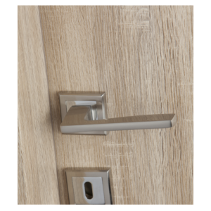 Πορτα laminate ΔΙΑΣ ΔΡΥΣ ΒΟΥΡΤΣΙΣΤΟ