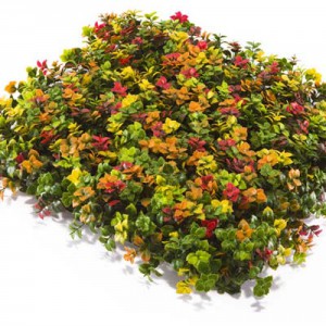 ΠΑΝΕΛ ΦΥΛΛΩΣΙΑΣ 50 Χ 50 ΜΖ188004Κ