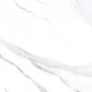 ΠΛΑΚΊΔΙΟ ΠΟΡΣΕΛΑΝΗΣ TROPICAL SATVARIO 60cmx120cm