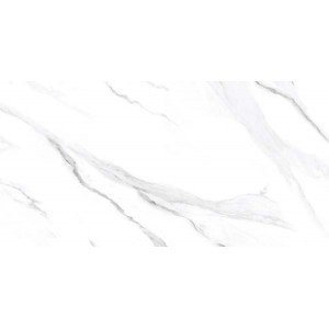 ΠΛΑΚΊΔΙΟ ΠΟΡΣΕΛΑΝΗΣ TROPICAL SATVARIO 60cmx120cm