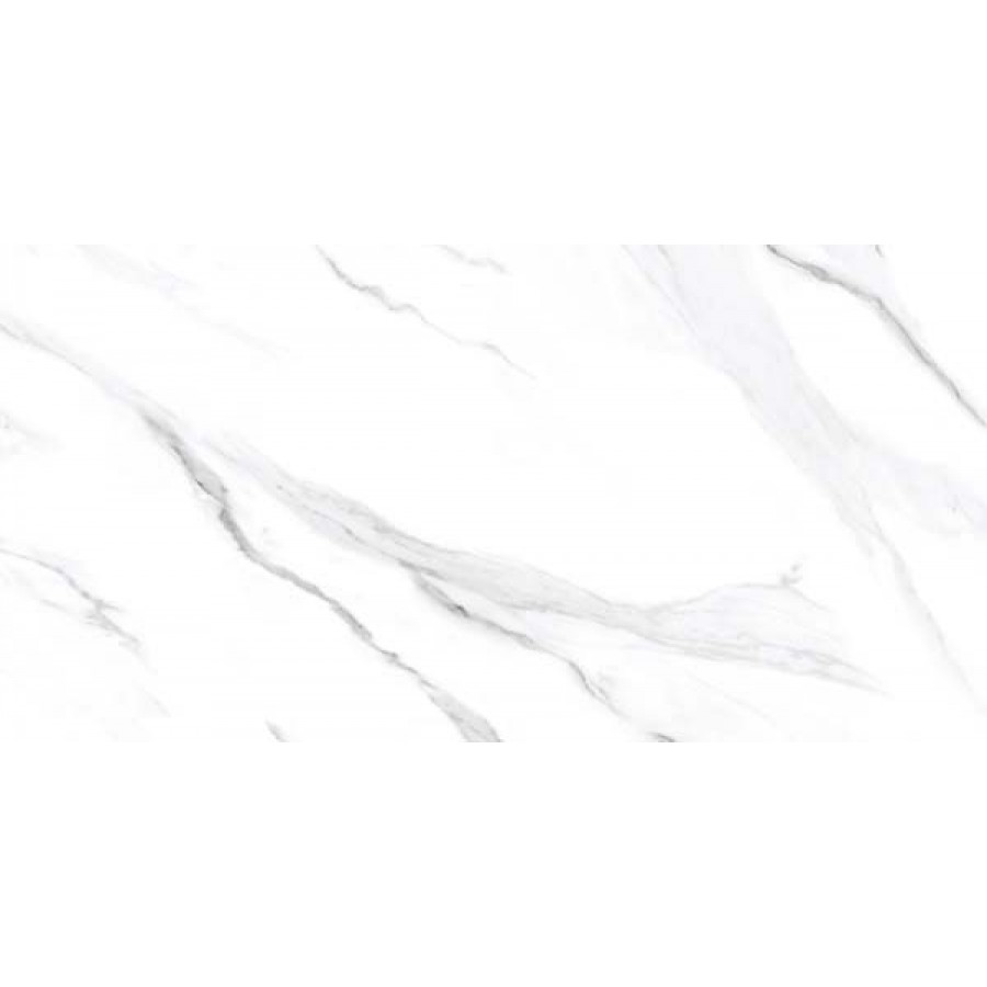 ΠΛΑΚΊΔΙΟ ΠΟΡΣΕΛΑΝΗΣ TROPICAL SATVARIO 60cmx120cm