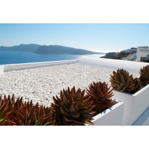 ΒΟΤΣΑΛΟ ΛΕΥΚΟ